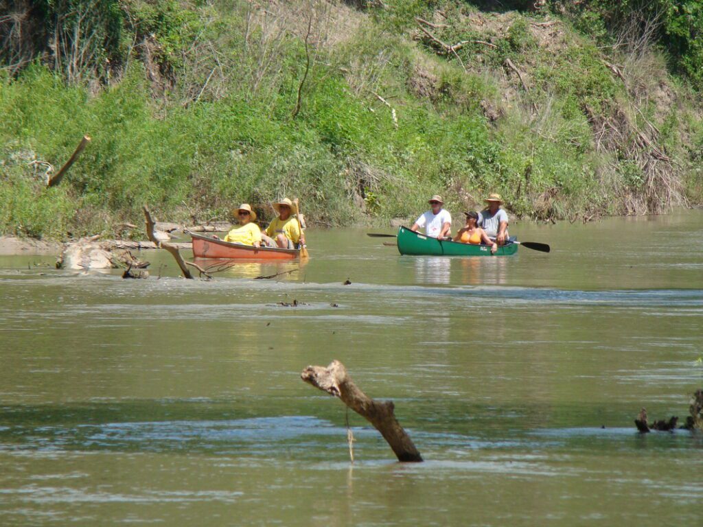 Paddlers in canoes on river