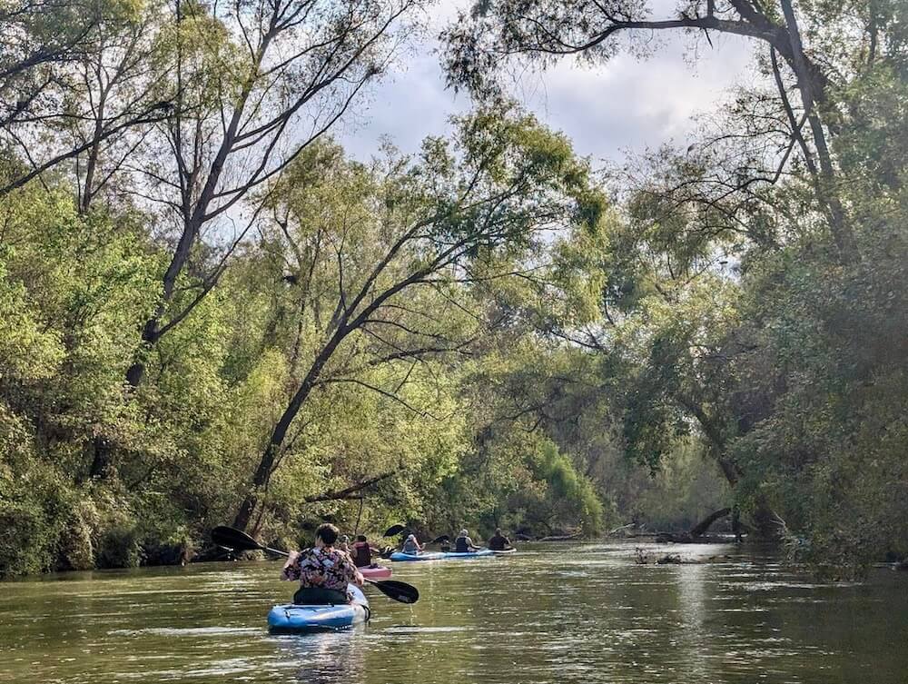 Paddler on the Goliad Canoe Trail